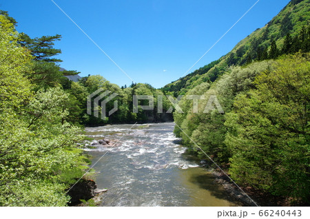 新緑の片品渓谷（吹割渓谷）【群馬県沼田市】 66240443