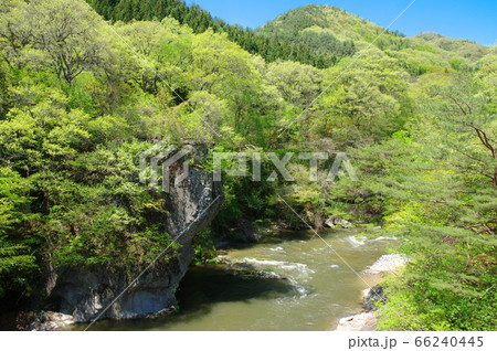 新緑の片品渓谷（吹割渓谷）【群馬県沼田市】 66240445