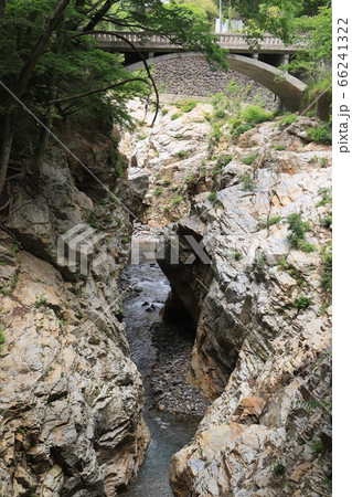 蝉の渓谷 蝉の渓谷 66241322
