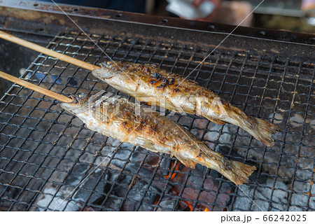 Grilled fish Japanese street food 66242025