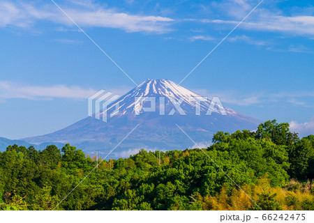 (静岡県)伊豆丹那から眺める富士山 (静岡県)伊豆丹那から眺める富士山 66242475