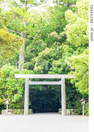 伊勢神宮外宮の鳥居 伊勢神宮外宮の鳥居 66243085