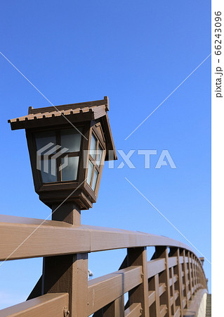 草加松並木 草加松並木 66243096