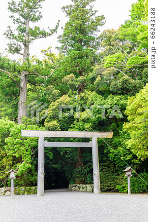 伊勢神宮外宮の鳥居 伊勢神宮外宮の鳥居 66243188