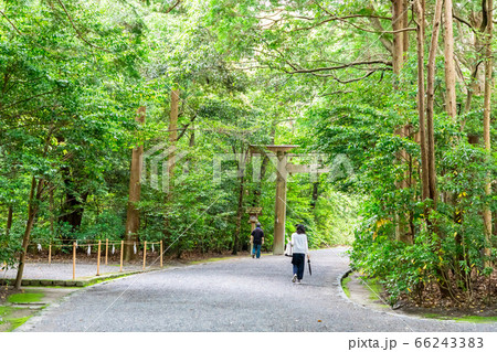 伊勢神宮外宮の参道 伊勢神宮外宮の参道 66243383