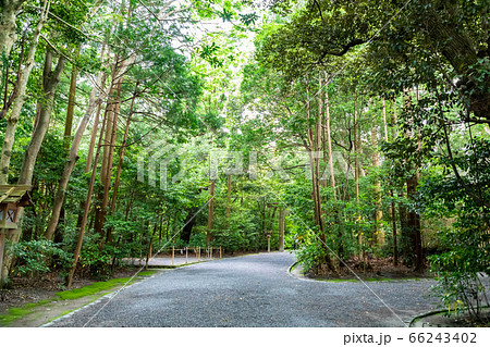 伊勢神宮外宮の参道 66243402