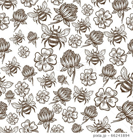 Flying bee and flowers in bloom seamless pattern Flying bee and flowers in bloom seamless pattern 66243894