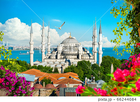 Beautiful view of mosque Beautiful view of mosque 66244084