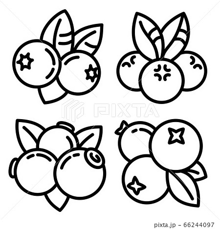 Bilberry icons set, outline style 66244097