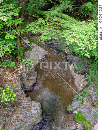 夕焼け小焼けの里　北浅川の清流 66244287