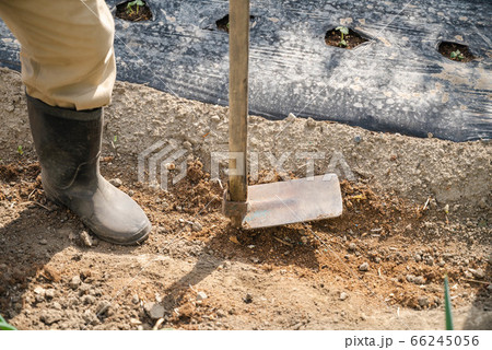 畑と鍬 66245056