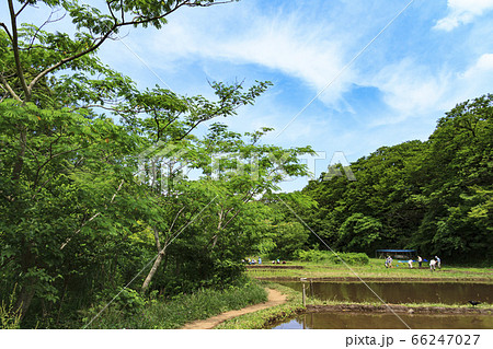 農村（初夏） 66247027