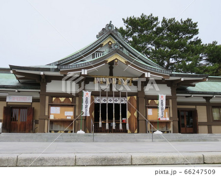 亀山八幡宮 社殿 亀山八幡宮 社殿 66247509