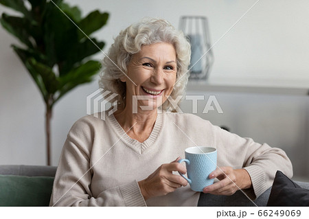 Portrait of smiling senior woman relax on sofa at home Portrait of smiling senior woman relax on sofa at home 66249069