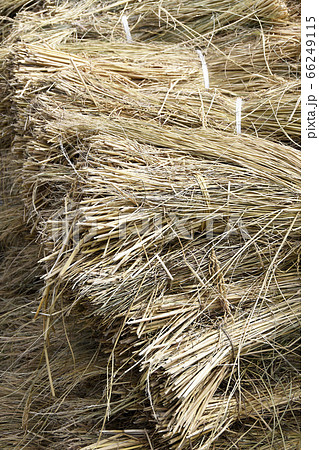 稲藁の束 稲藁の束 66249115