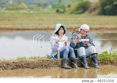 田植えの合間あぜ道で昼食をとる農家の夫婦 66251350