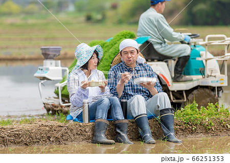 田植えの合間あぜ道で昼食をとる農家の夫婦 66251353