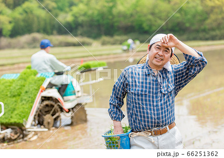 田植えをする男性 田植えをする男性 66251362