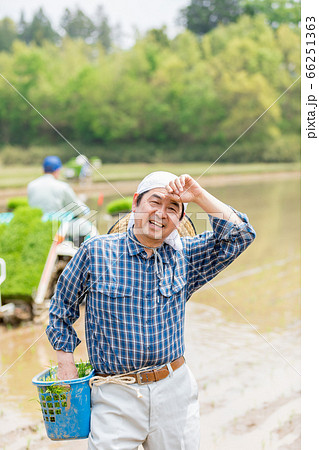 田植えをする男性 66251363