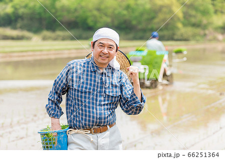 田植えをする男性 66251364