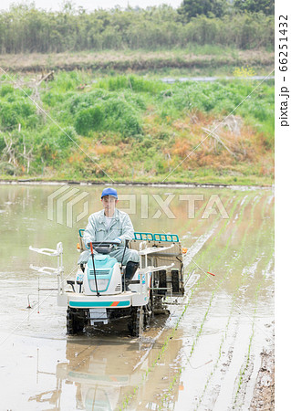 田植機を操縦する農家の男性 66251432