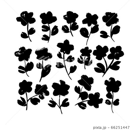 Collection of black vector flower with leaves.  66251447