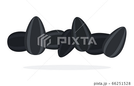 Roasted sunflower seeds 66251528