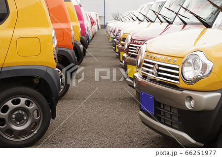 自動車イメージ　販売店に並ぶクルマ　軽自動車 66251977