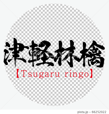 津軽林檎・Tsugaru ringo（筆文字・手書き） 66252022