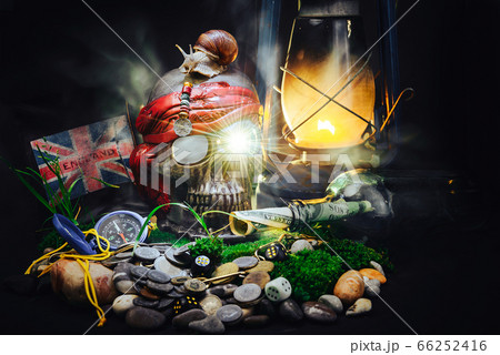 A terrible human skull of a pirate with a snail on his forehead, among the plundered riches.  66252416