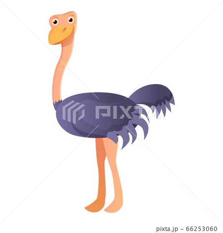 Kid ostrich icon, cartoon style 66253060