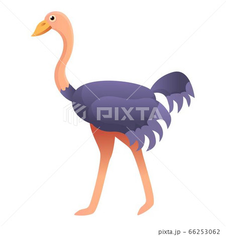 Ostrich icon, cartoon style 66253062