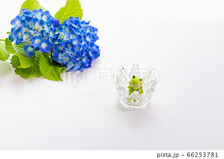 あじさいとカエル 6月 梅雨イメージ あじさいとカエル 6月 梅雨イメージ 66253781