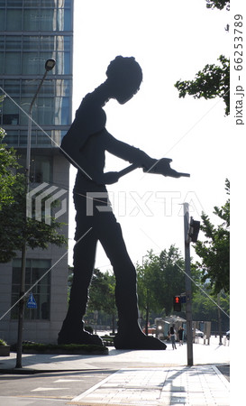 徳寿宮 花道 花びら 66253789