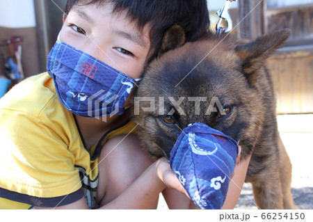 おそろいの手作り布マスクをつけた男の子とペットの犬 おそろいの手作り布マスクをつけた男の子とペットの犬 66254150