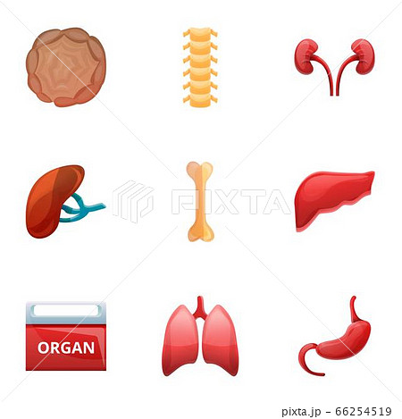 Human organ transplant icon set, cartoon style 66254519