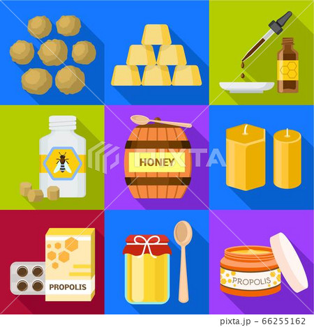 Natural honey icon set, flat style 66255162