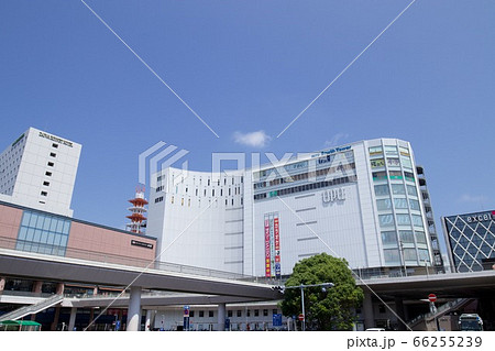 初夏の水戸駅南側 初夏の水戸駅南側 66255239