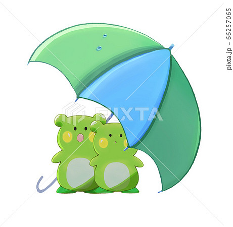傘の下で雨宿りする二匹のカエル 66257065