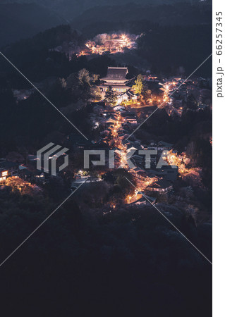 吉野山の千本桜 66257345
