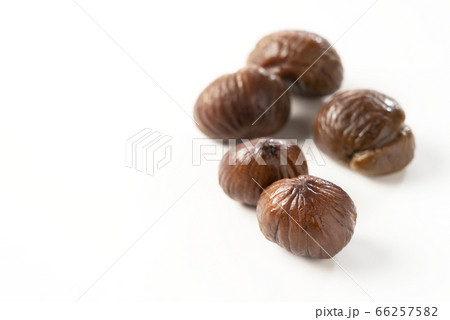 白い背景に甘栗 66257582