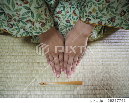 茶道　着物　素材 66257741