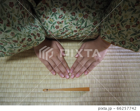 茶道　着物　素材 66257742