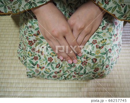 茶道　着物　素材 66257745