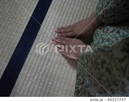 茶道　着物　素材 66257747