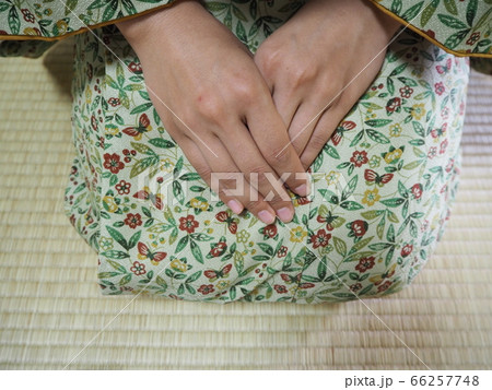 茶道　着物　素材 66257748