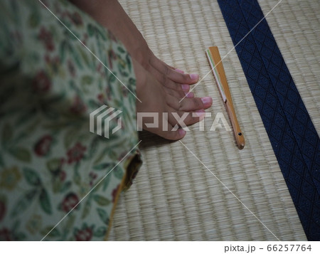 茶道　着物　素材 66257764