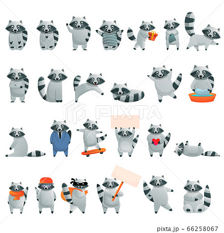 Raccoon icons set, cartoon style Raccoon icons set, cartoon style 66258067