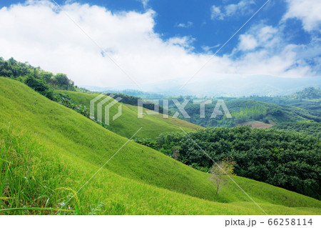 Viewpoint with beautiful. 66258114