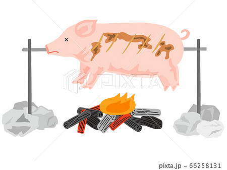 お祝いの豚の丸焼き 春節 中秋節のイラスト素材